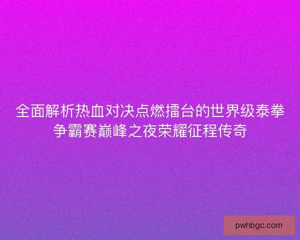 全面解析热血对决点燃擂台的世界级泰拳争霸赛巅峰之夜荣耀征程传奇 全面解析热血对决点燃擂台的世界级泰拳争霸赛巅峰之夜荣耀征程传奇