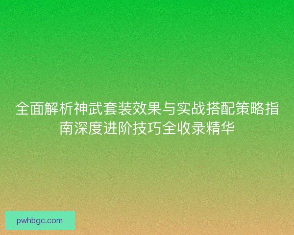 全面解析神武套装效果与实战搭配策略指南深度进阶技巧全收录精华